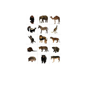 ДИКИЕ ЖИВОТНЫЕ ДИКИЕ ЖИВОТНЫЕ