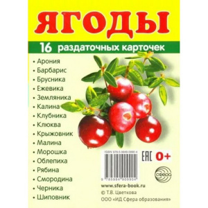 СФЕ-1045185