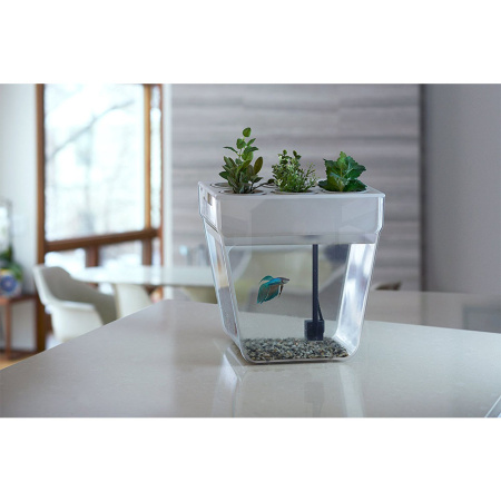 акваферма (7)