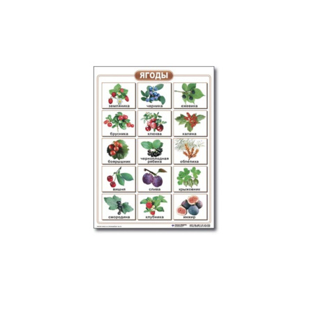 ОКРУЖАЮЩИЙ МИР_2